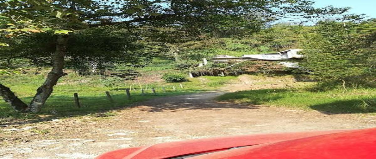 Foto de terreno habitacional en venta en  , el arenal, coatepec, veracruz de ignacio de la llave, 0 No. 08