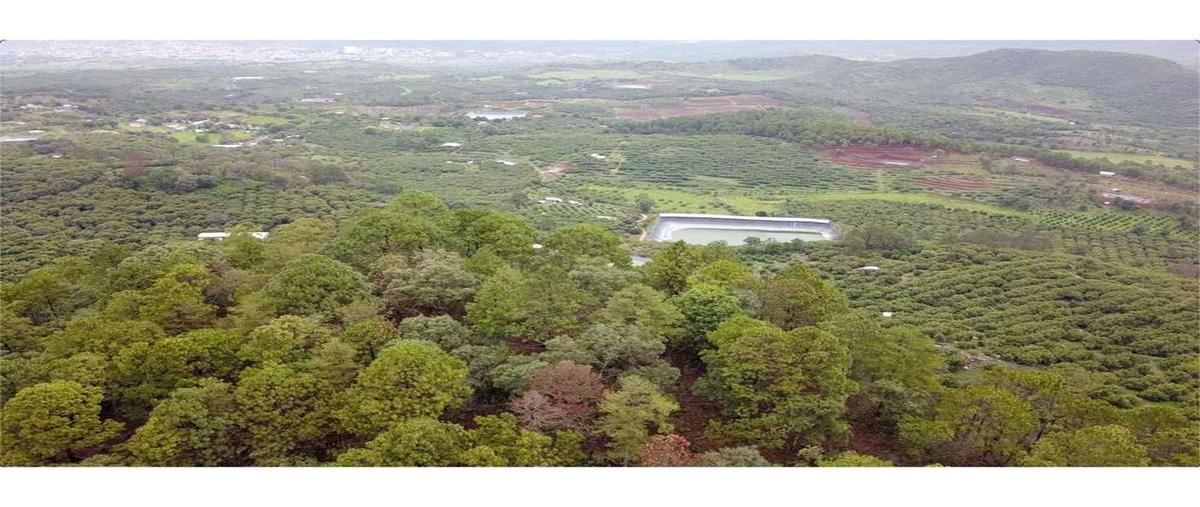 Foto de local en venta en  , el arenal, cotija, michoacán de ocampo, 27859488 No. 05