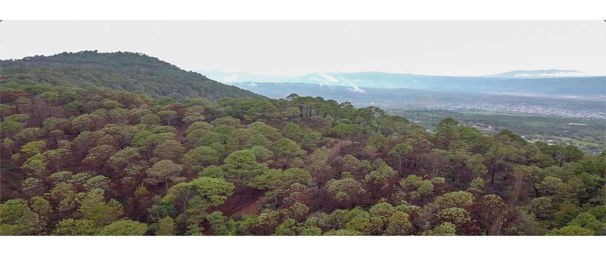 Foto de local en venta en  , el arenal, cotija, michoacán de ocampo, 27859488 No. 06