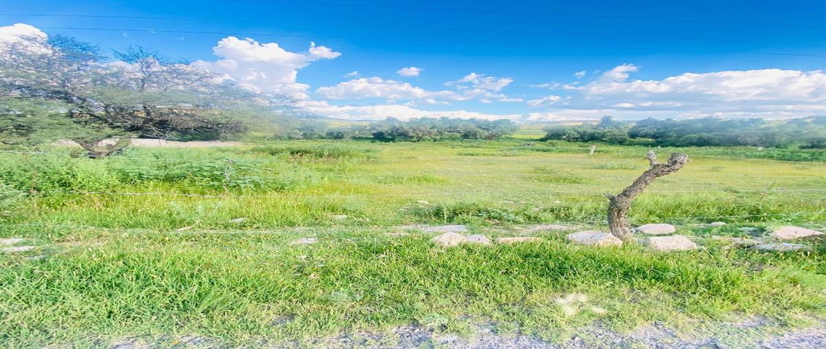 Foto de terreno habitacional en venta en  , el arenal de abajo, san josé iturbide, guanajuato, 0 No. 03