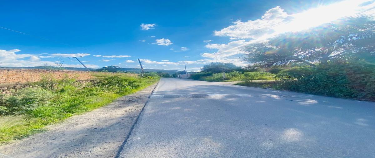 Foto de terreno habitacional en venta en  , el arenal de abajo, san josé iturbide, guanajuato, 0 No. 05