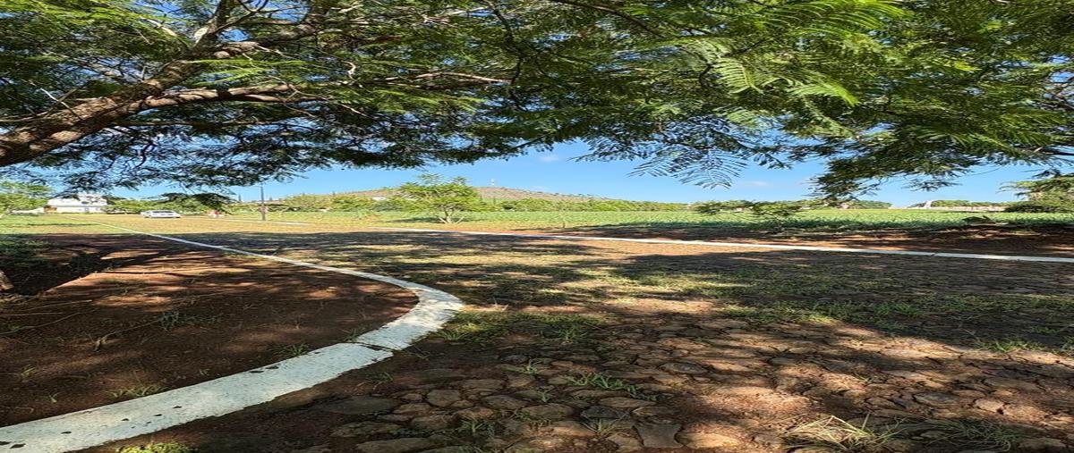 Foto de terreno habitacional en venta en  , el arenal, el arenal, jalisco, 0 No. 03