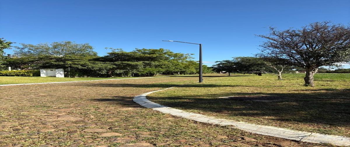 Foto de terreno habitacional en venta en  , el arenal, el arenal, jalisco, 0 No. 04