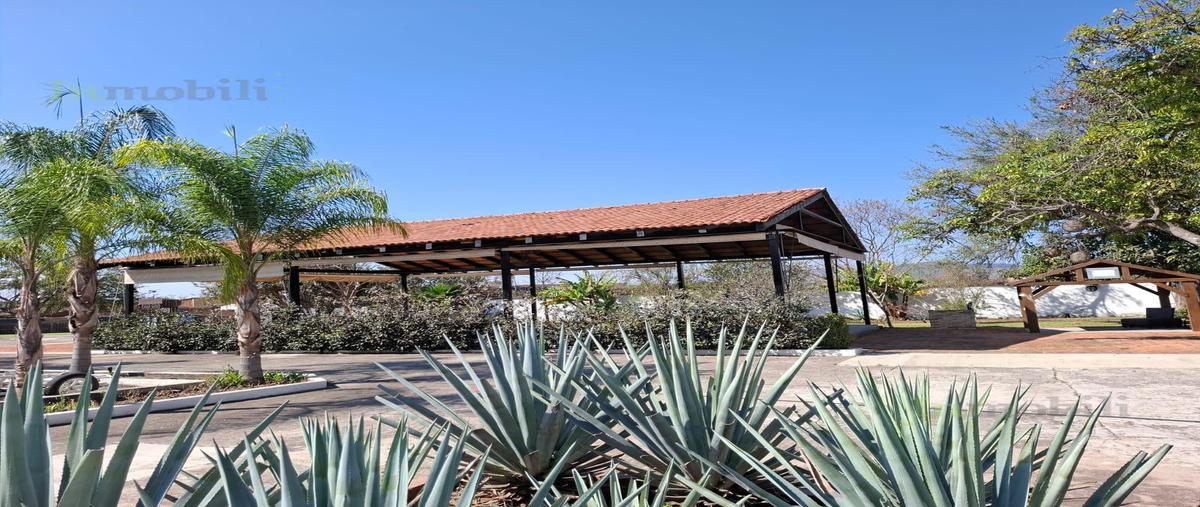 Foto de local en venta en  , el arenal, el arenal, jalisco, 0 No. 03