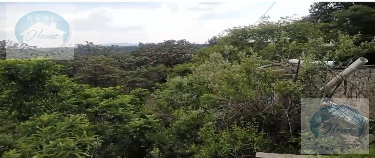 Foto de terreno habitacional en venta en  , el arenal, el arenal, jalisco, 0 No. 04