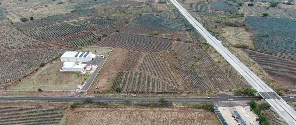 Foto de terreno habitacional en venta en  , el arenal, el arenal, jalisco, 0 No. 03