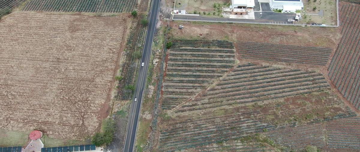 Foto de terreno habitacional en venta en  , el arenal, el arenal, jalisco, 0 No. 04