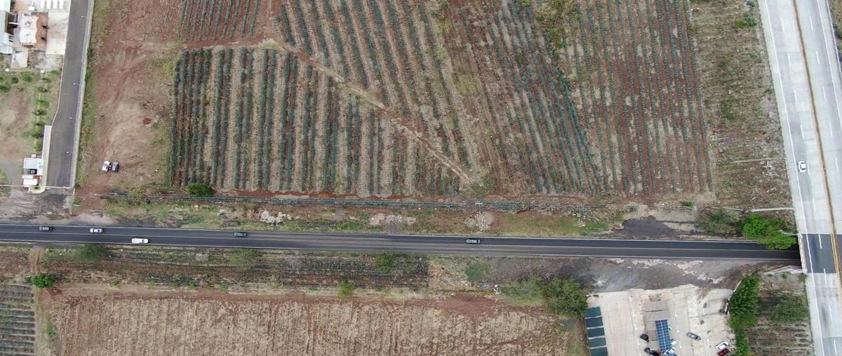 Foto de terreno habitacional en venta en  , el arenal, el arenal, jalisco, 0 No. 05