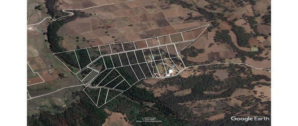Foto de terreno industrial en venta en el arenal , san bartolo el arenal, atlacomulco, méxico, 25196815 No. 04