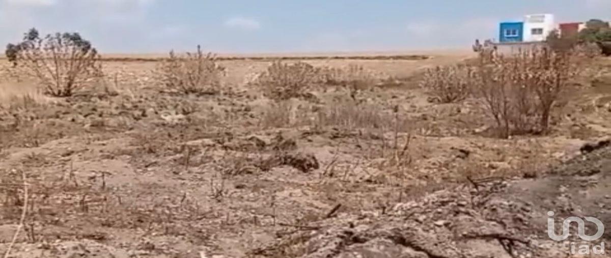 Foto de terreno habitacional en el arenal , santa maría nativitas, calimaya, méxico, 0 foto 05 Foto de terreno habitacional en venta en el arenal , santa maría nativitas, calimaya, méxico, 0 No. 05