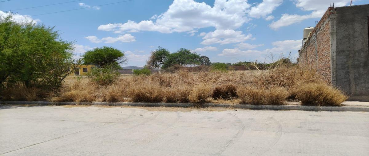 Foto de terreno habitacional en venta en  , el aurero, jesús maría, aguascalientes, 0 No. 05
