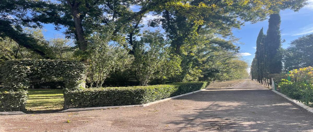 Foto de rancho en , el barranco, san francisco de los romo, aguascalientes, 0 foto 01 Foto de rancho en venta en , el barranco, san francisco de los romo, aguascalientes, 0 No. 01