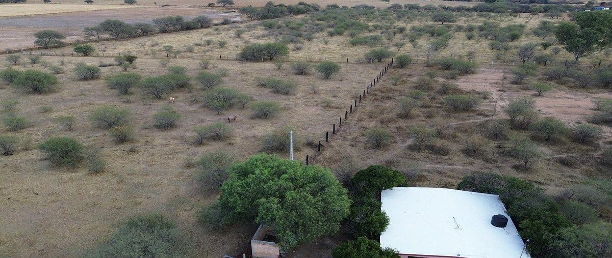 Foto de rancho en venta en  , el barranco, san francisco de los romo, aguascalientes, 0 No. 04