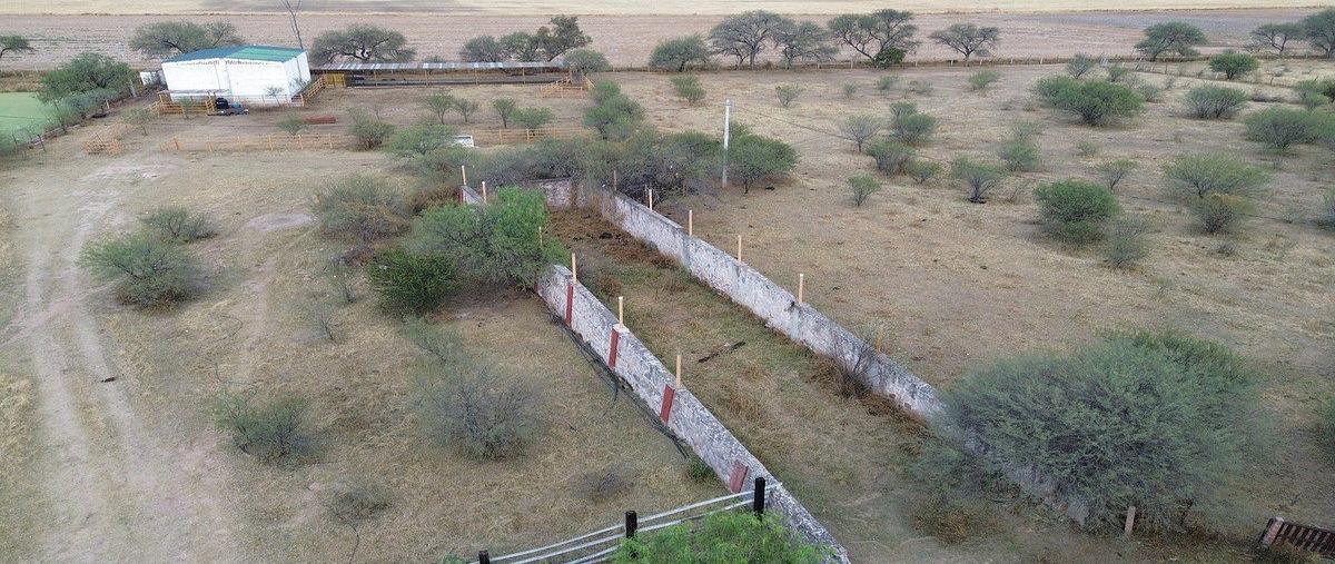 Foto de rancho en venta en  , el barranco, san francisco de los romo, aguascalientes, 0 No. 05