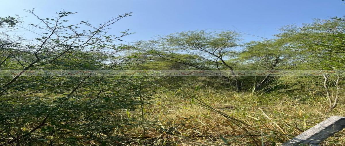 Foto de terreno habitacional en venta en el barranquito , el barranquito, cadereyta jiménez, nuevo león, 0 No. 05