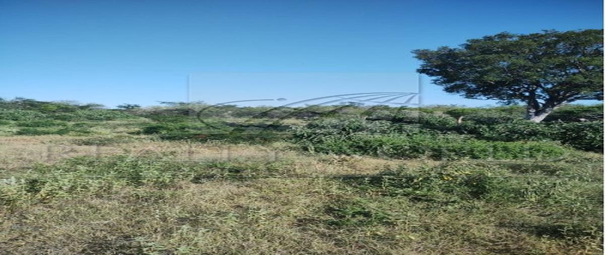 Foto de rancho en venta en  , el barretal, padilla, tamaulipas, 0 No. 04