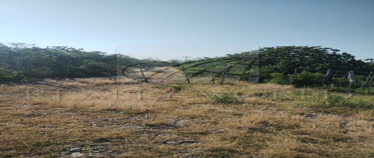 Foto de rancho en venta en  , el barretal, padilla, tamaulipas, 0 No. 05