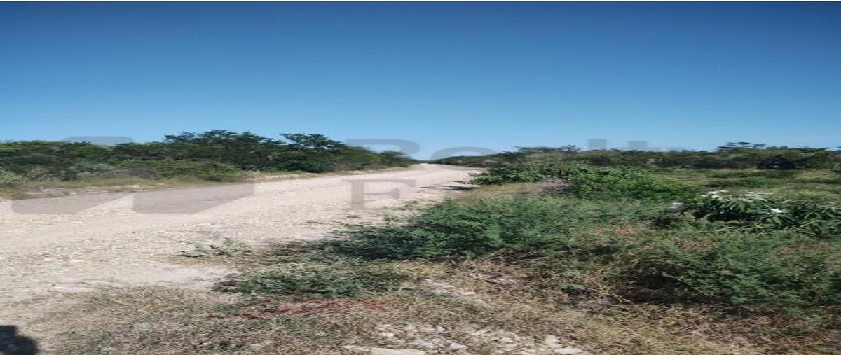 Foto de rancho en venta en  , el barretal, padilla, tamaulipas, 0 No. 03