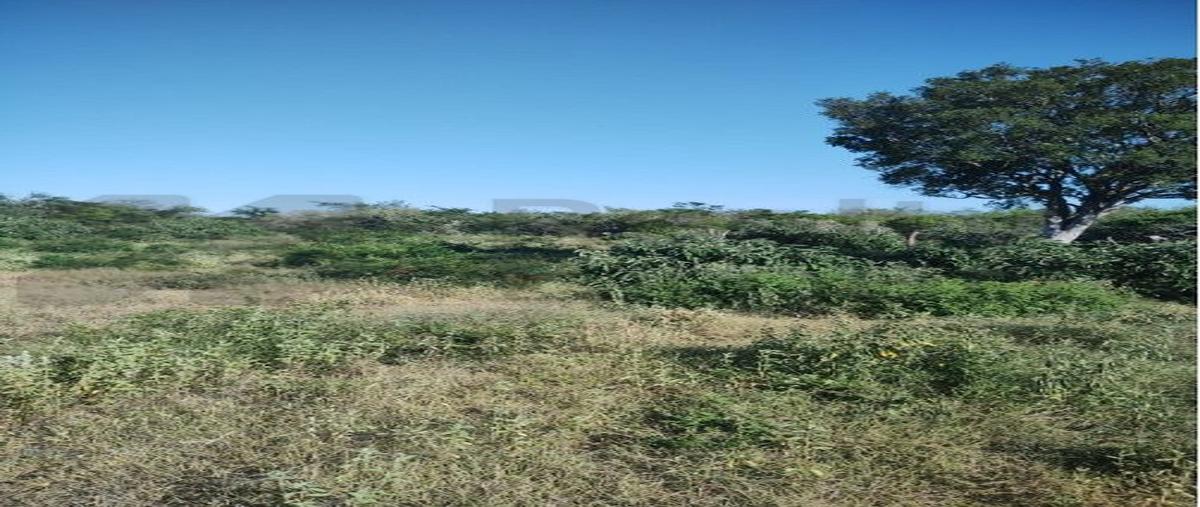 Foto de rancho en venta en  , el barretal, padilla, tamaulipas, 31481808 No. 04
