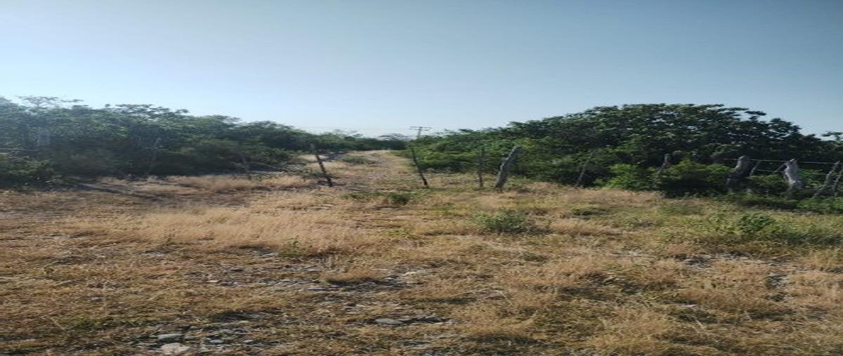 Foto de rancho en venta en  , el barretal, padilla, tamaulipas, 31481808 No. 05