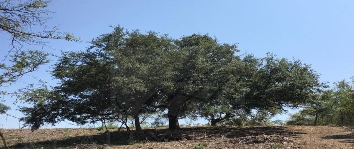 Foto de terreno habitacional en el barrial , el barrial, santiago, nuevo león, 0 foto 05 Foto de terreno habitacional en venta en el barrial , el barrial, santiago, nuevo león, 0 No. 05