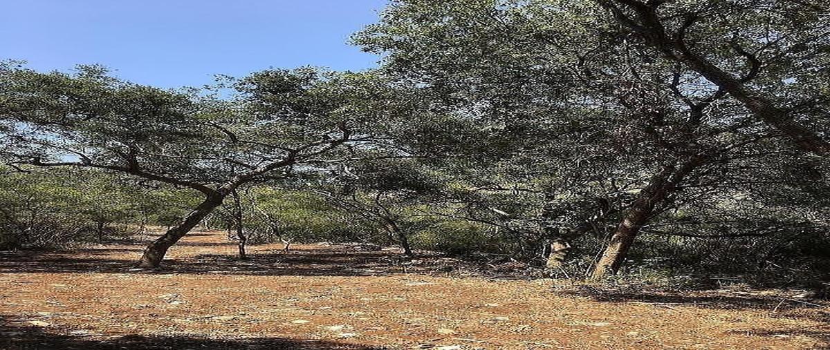 Foto de terreno habitacional en el barrial , el barrial, santiago, nuevo león, 0 foto 02 Foto de terreno habitacional en venta en el barrial , el barrial, santiago, nuevo león, 0 No. 02