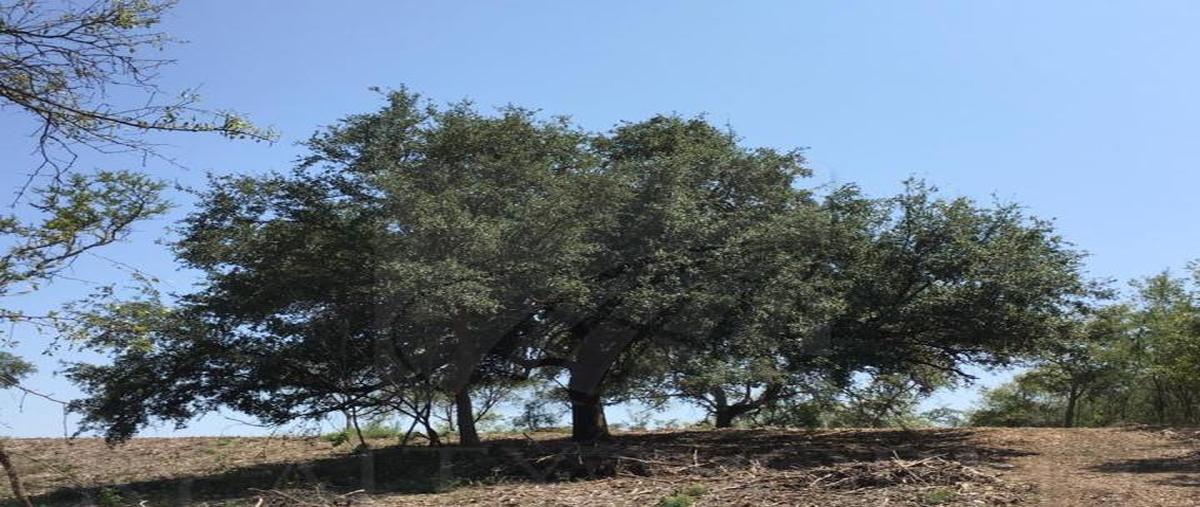 Foto de terreno habitacional en venta en  , el barrial, santiago, nuevo león, 30124505 No. 04