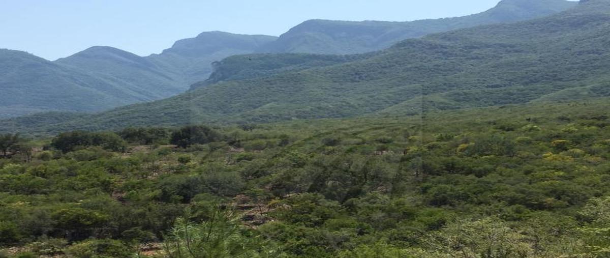 Foto de terreno habitacional en venta en  , el barrial, santiago, nuevo león, 30124505 No. 05
