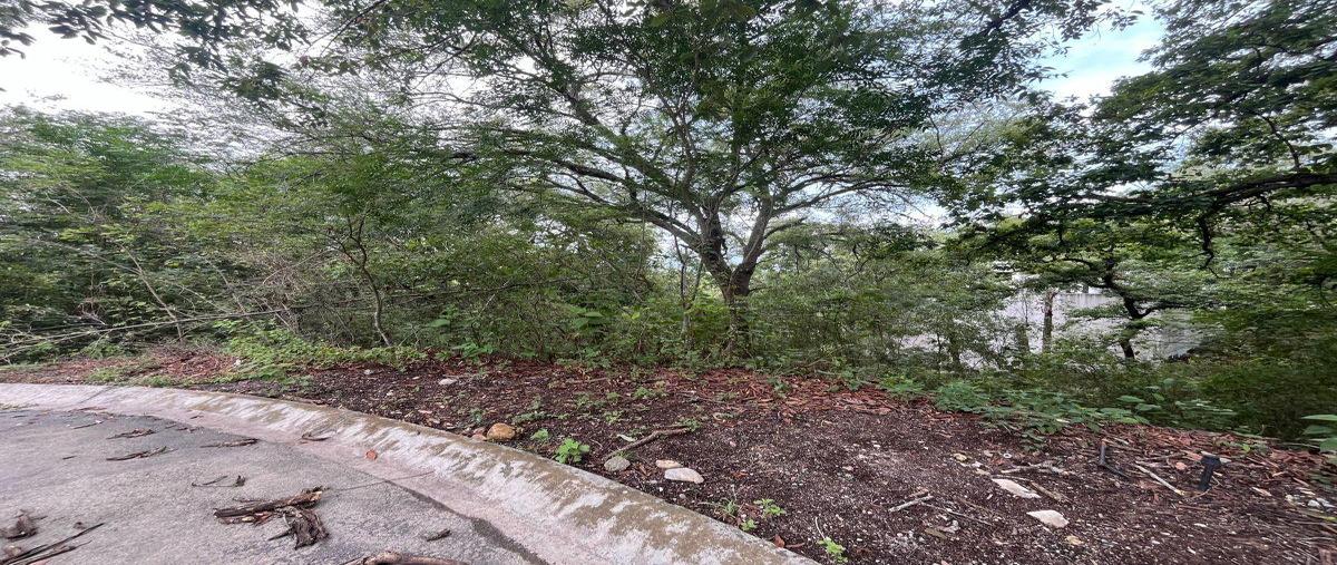 Foto de terreno habitacional en venta en  , el barrial, santiago, nuevo león, 30304102 No. 05