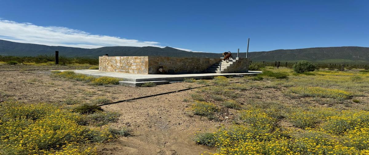 Foto de casa en venta en  , el barril, ramos arizpe, coahuila de zaragoza, 0 No. 04