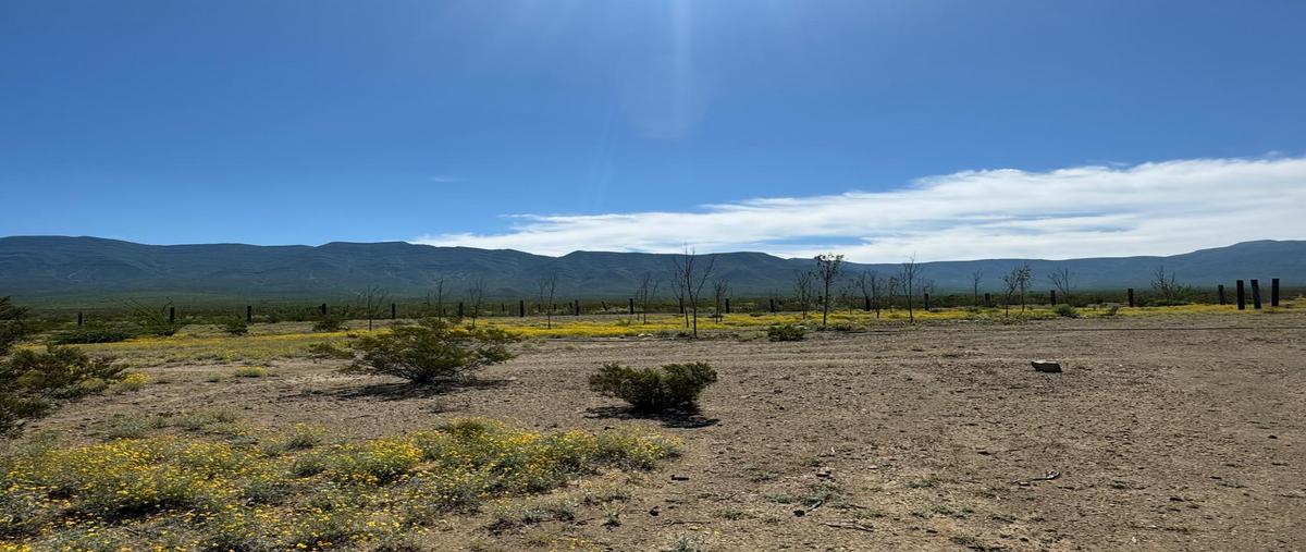 Foto de casa en venta en  , el barril, ramos arizpe, coahuila de zaragoza, 0 No. 05