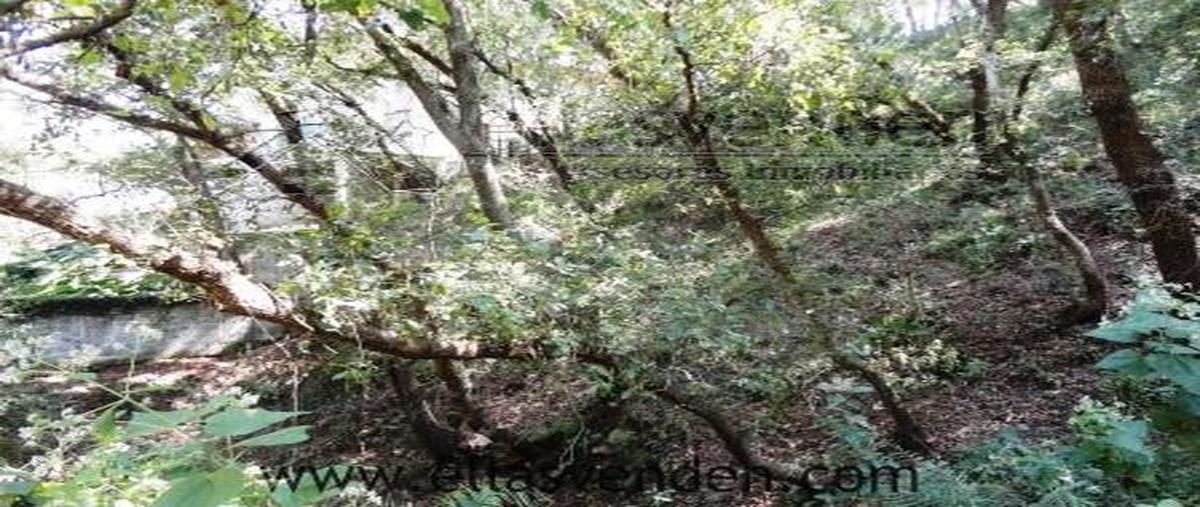 Foto de terreno habitacional en venta en el barro 1020, moretta, monterrey, nuevo león, 28010228 No. 03