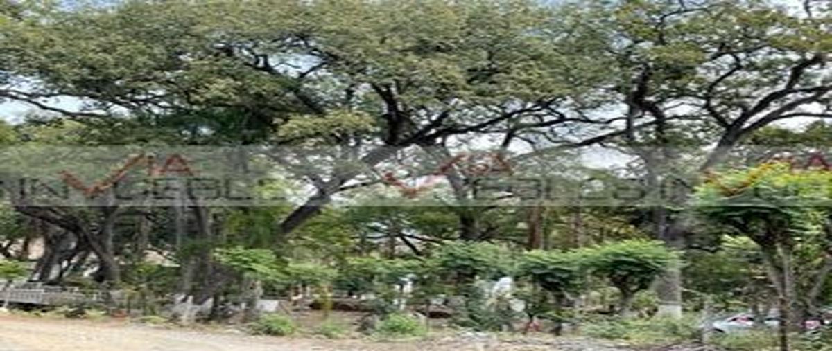 Foto de terreno industrial en venta en  , el barro, monterrey, nuevo león, 26961284 No. 03