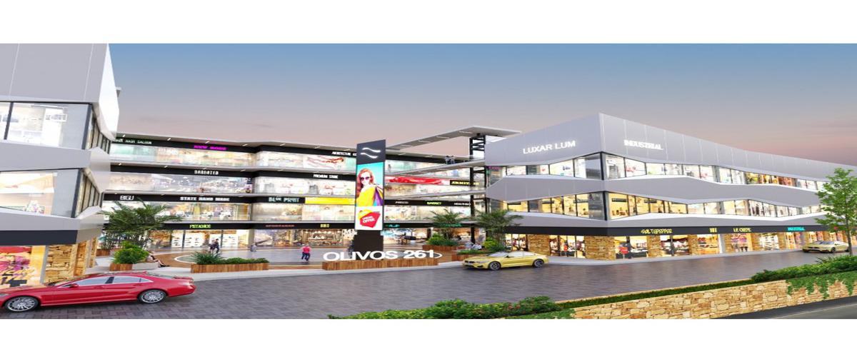 Foto de local en venta en  , el barro, santiago, nuevo león, 25062724 No. 04