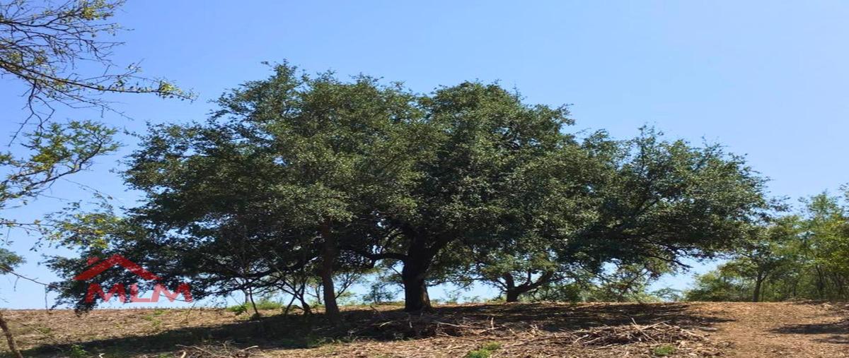 Foto de terreno habitacional en venta en  , el barro, santiago, nuevo león, 30825121 No. 04