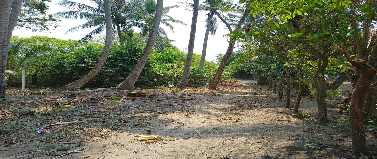 Foto de terreno habitacional en , el bayo, alvarado, veracruz de ignacio de la llave, 25395395 foto 02 Foto de terreno habitacional en venta en , el bayo, alvarado, veracruz de ignacio de la llave, 25395395 No. 02