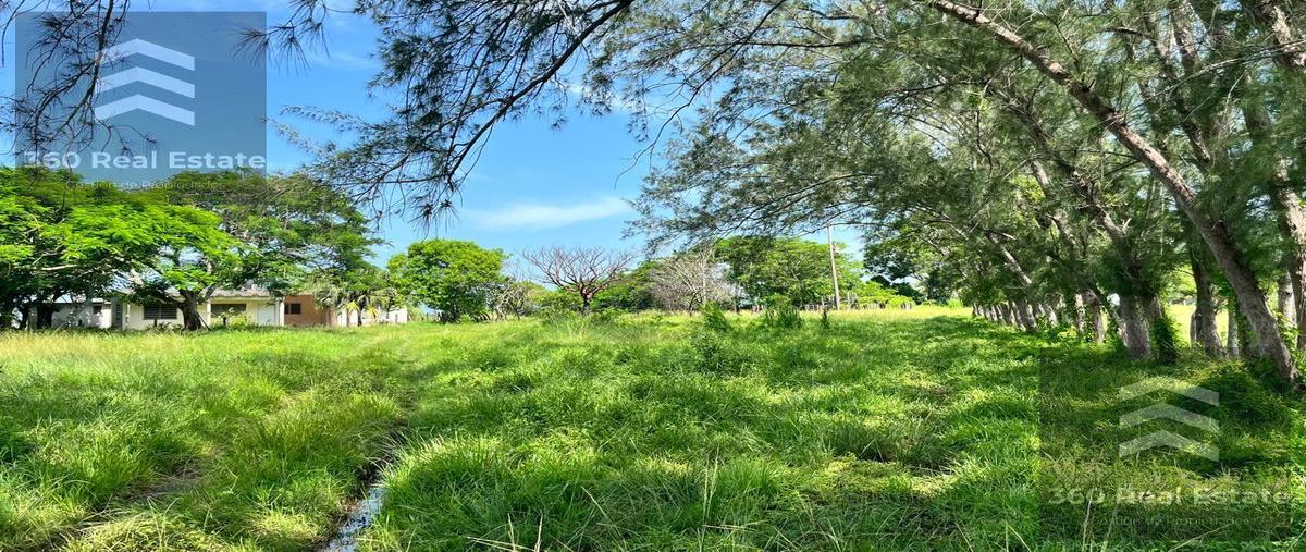 Foto de rancho en , el bayo, alvarado, veracruz de ignacio de la llave, 28533736 foto 01 Foto de rancho en venta en , el bayo, alvarado, veracruz de ignacio de la llave, 28533736 No. 01