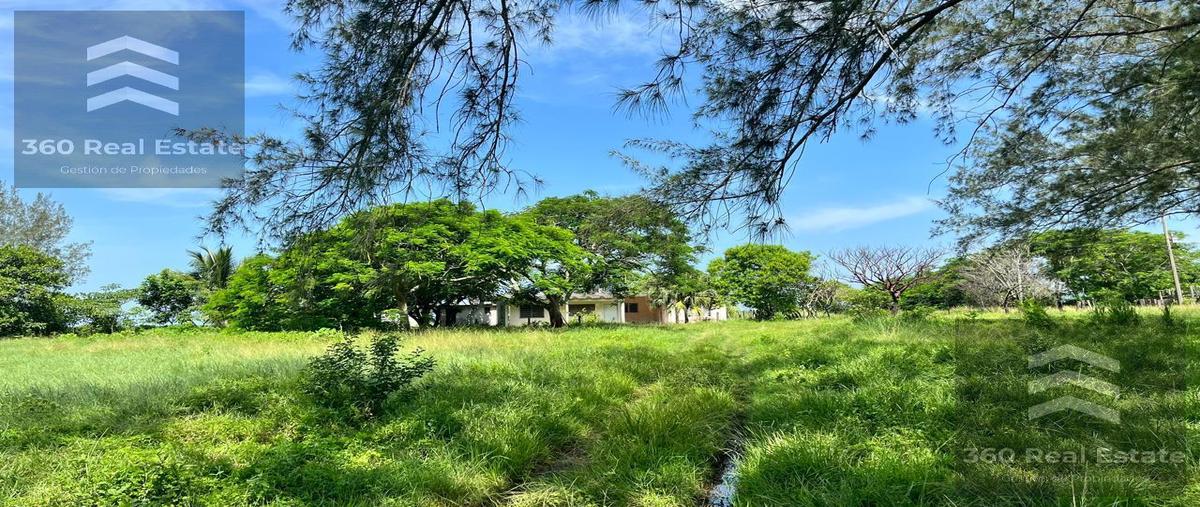 Foto de rancho en , el bayo, alvarado, veracruz de ignacio de la llave, 28533736 foto 02 Foto de rancho en venta en , el bayo, alvarado, veracruz de ignacio de la llave, 28533736 No. 02