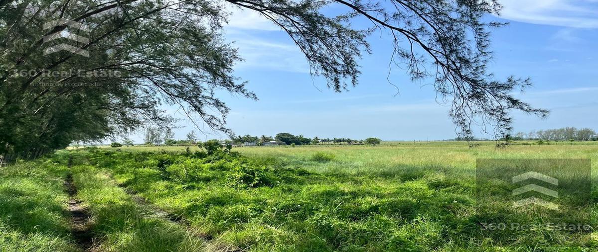 Foto de rancho en , el bayo, alvarado, veracruz de ignacio de la llave, 28533736 foto 04 Foto de rancho en venta en , el bayo, alvarado, veracruz de ignacio de la llave, 28533736 No. 04