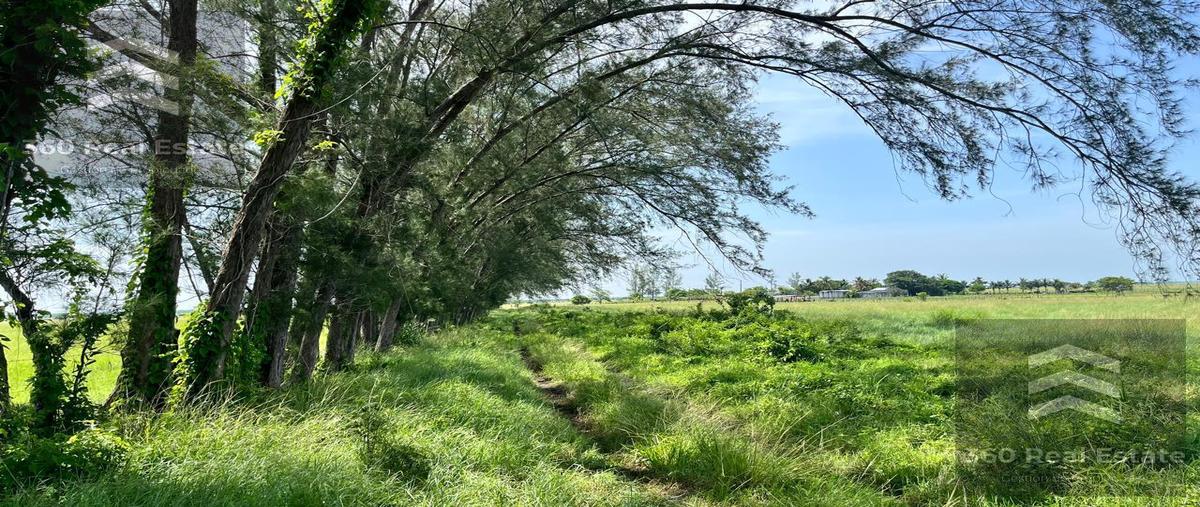 Foto de rancho en , el bayo, alvarado, veracruz de ignacio de la llave, 28533736 foto 05 Foto de rancho en venta en , el bayo, alvarado, veracruz de ignacio de la llave, 28533736 No. 05