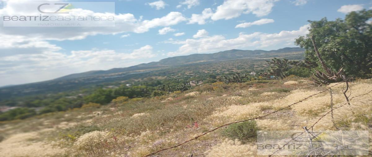 Foto de terreno habitacional en venta en  , el bosque, zempoala, hidalgo, 0 No. 04