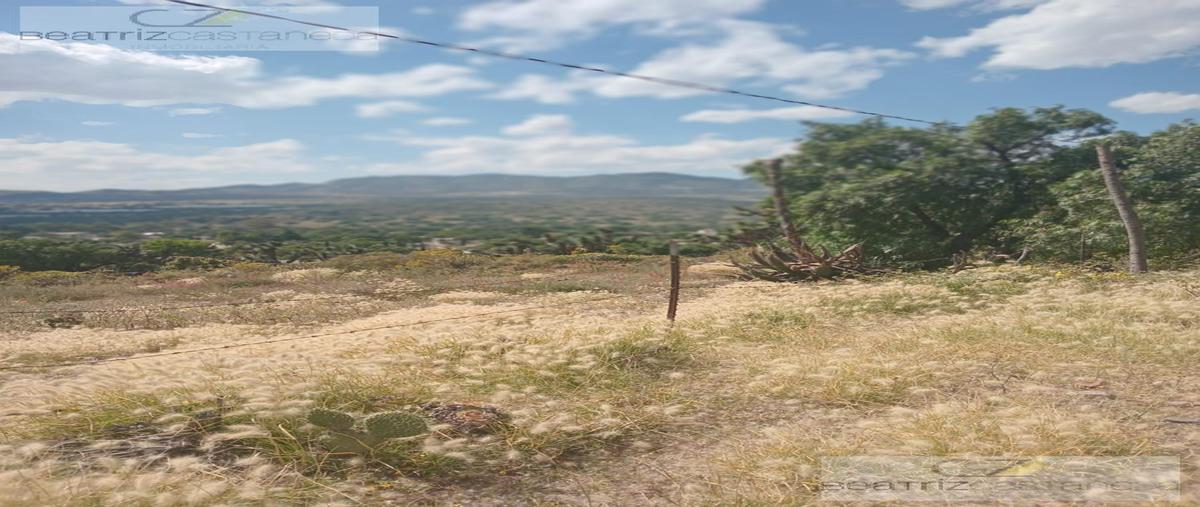 Foto de terreno habitacional en venta en  , el bosque, zempoala, hidalgo, 0 No. 05
