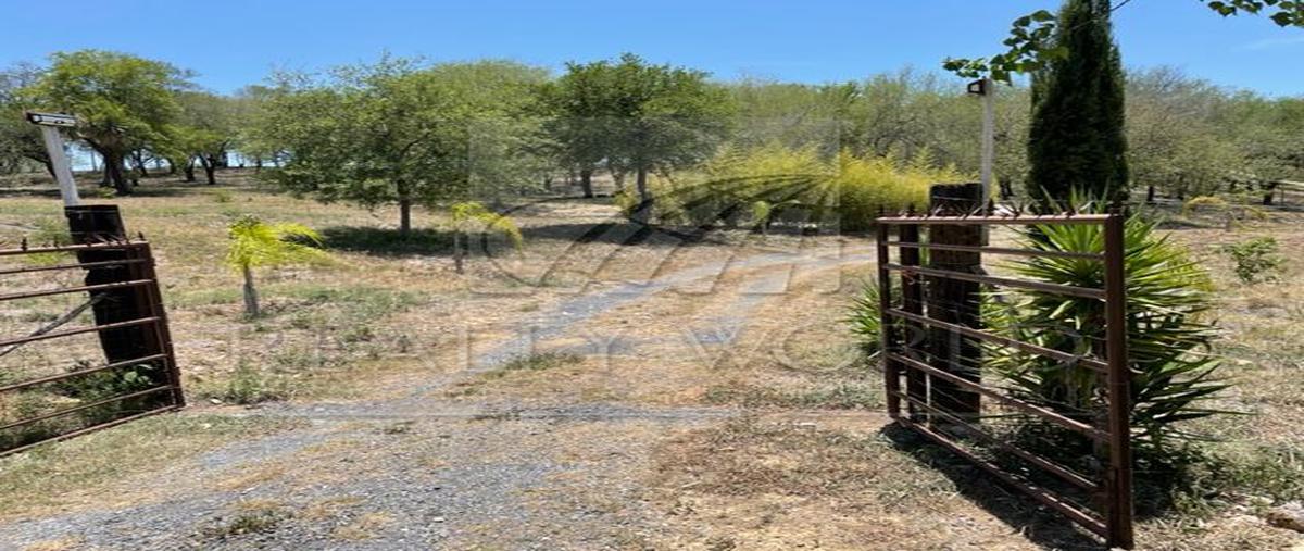 Foto de rancho en venta en  , el brasil, linares, nuevo león, 25343354 No. 03