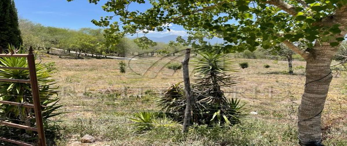 Foto de rancho en venta en  , el brasil, linares, nuevo león, 25343354 No. 04