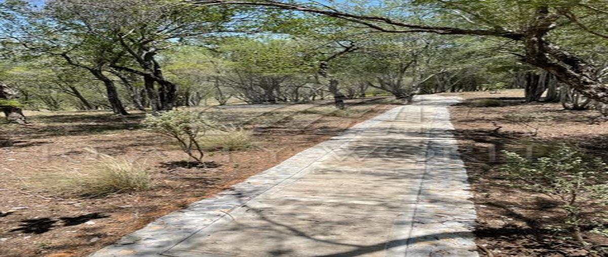 Foto de rancho en venta en  , el brasil, linares, nuevo león, 25343354 No. 05