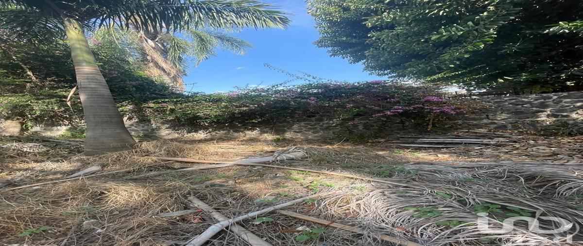 Foto de terreno habitacional en venta en el bruz 102, chapultepec, cuernavaca, morelos, 31706309 No. 03