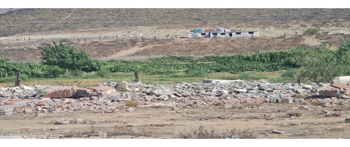 Foto de terreno habitacional en venta en  , el cactus, ramos arizpe, coahuila de zaragoza, 0 No. 03
