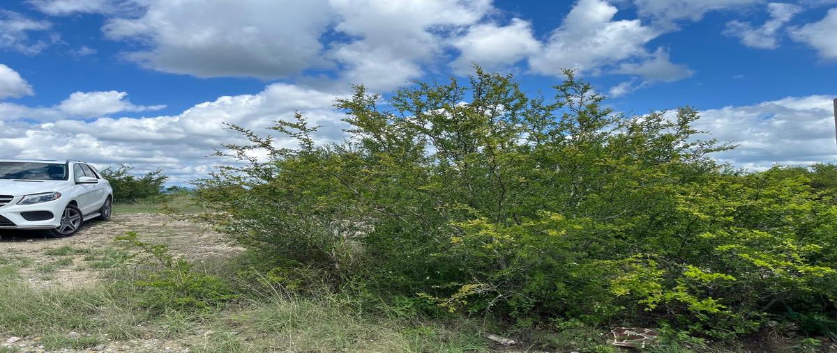 Foto de terreno habitacional en venta en  , el calvario, cadereyta jiménez, nuevo león, 31271527 No. 03