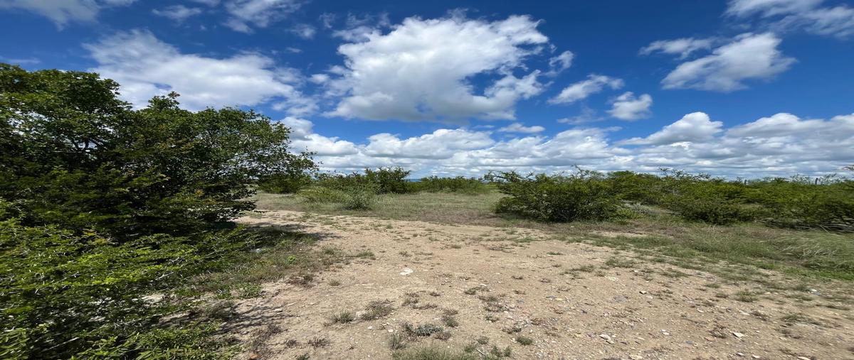 Foto de terreno habitacional en venta en  , el calvario, cadereyta jiménez, nuevo león, 31271527 No. 04