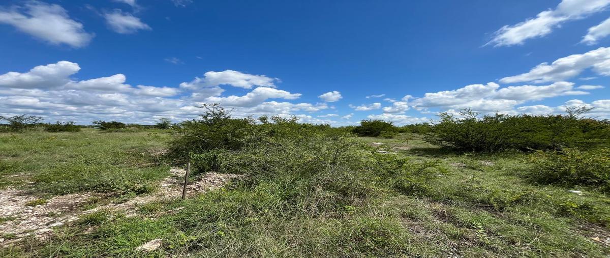 Foto de terreno habitacional en venta en  , el calvario, cadereyta jiménez, nuevo león, 31271527 No. 05